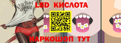 гидропоника Донской