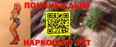 шишки Дубна