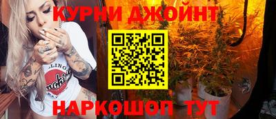 шишки Дубна