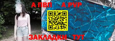 шишки Дубна