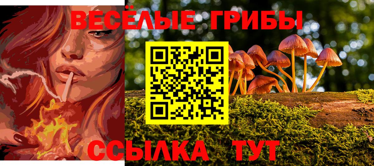 Галлюциногенные грибы мухоморы  Вход с VPN  Щёкино 